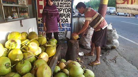 Penjual Kelapa Muda Pamekasan Mengeluh:  Rugi,  Tak Seindah Penjualan Tahun Lalu