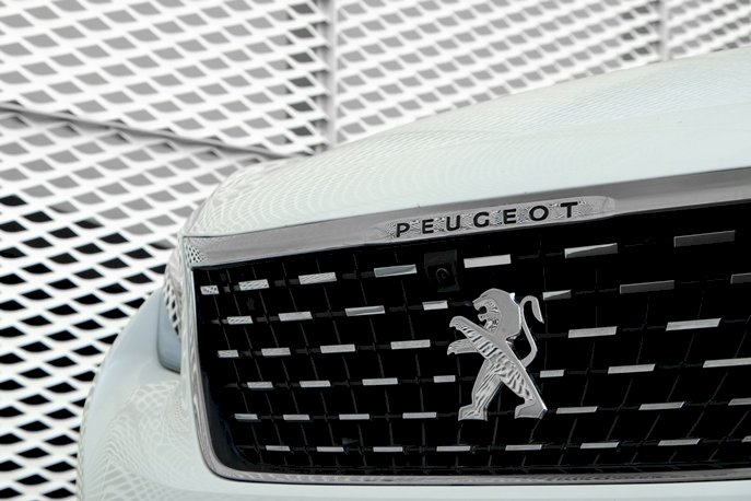 Begini Cara Perawatan Logo Emblem Mobil Peugeot