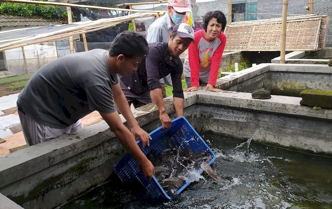 Pokdakan Makmur Sejahtera Dapat Bantuan dari Diskanlut Jatim