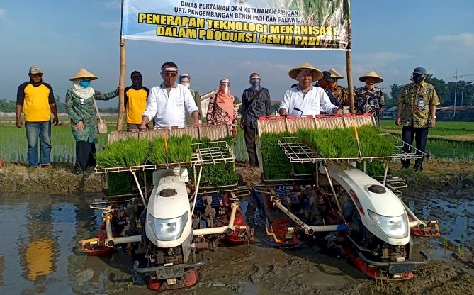 Rice Transplanter Efektif Tingkatkan Produksi Padi