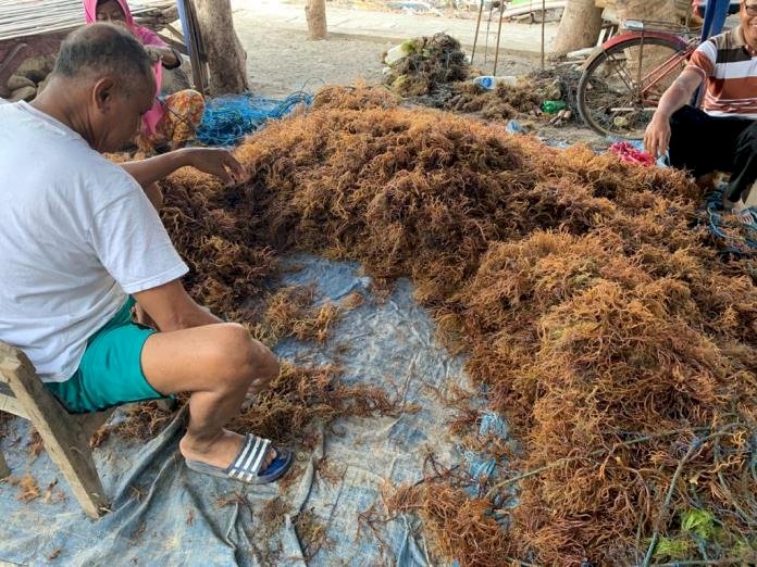 KBI Adakan Program Kemitraan dengan Jaminan Resi Gudang