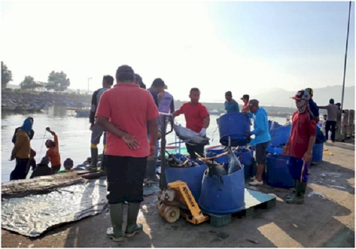 Harga Ikan Ekonomis Penting, Tangkapan Nelayan Relatif Stabil selama Pandemi