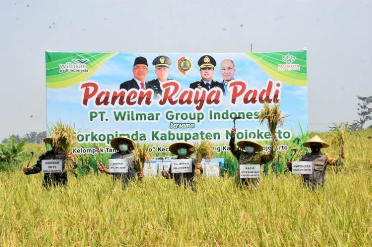 Panen Raya Sistem Demplot Pemkab Mojokerto dan PT Wilmar Group Indonesia