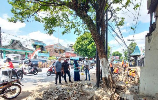 DLH Kota Malang Lakukan Penanaman Kembali 10 Pohon yang Ditebang