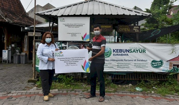 Tingkatkan Usaha Hidroponik, PLN Kembali Bantu Kebun Sayur Surabaya