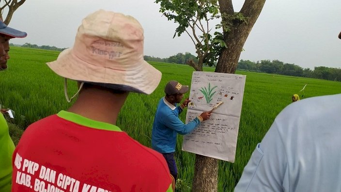 EMCL Dorong Petani Mandiri, Adakan Program Sekolah Lapang Pertanian 