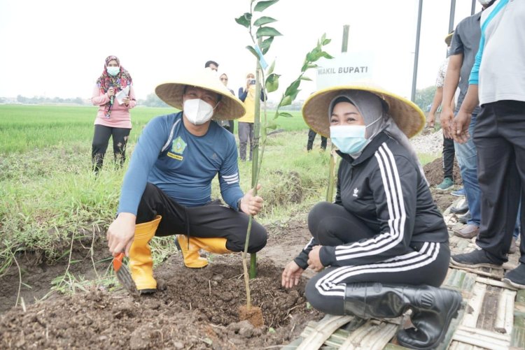 Manfaatkan TKD Untuk Budidaya Jeruk Siem