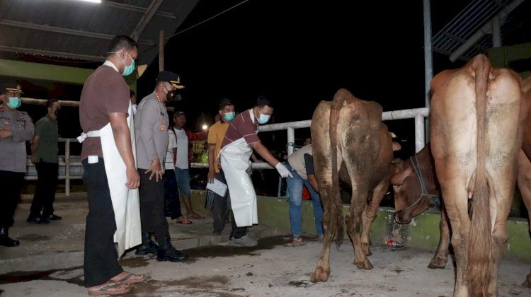 Kapolresta Cek Rumah Potong Hewan