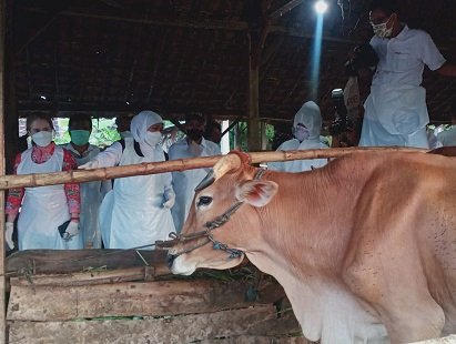 Pemprov Jatim Optimalisasi Penyuntikan Obat - Obatan