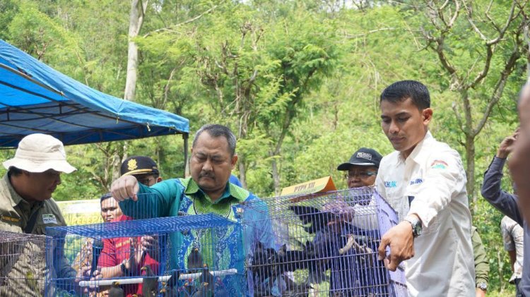 PTPN XII Lepasliarkan Ratusan Ekor Burung ke Habitatnya
