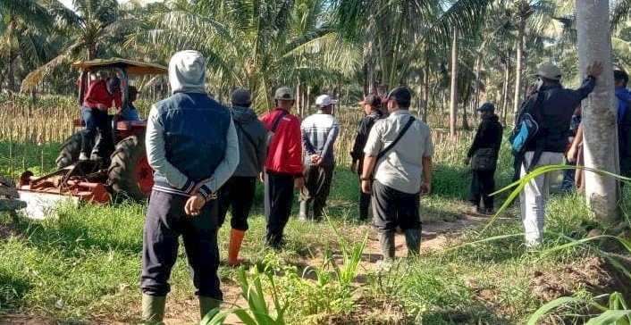 Pengolahan Tanah PTPN XII Pasewaran Diwarnai Aksi Penghadangan dan Mediasi