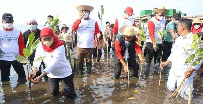 Gubernur Buka Festival Mangrove Perdana , Ajak Masyrakat Sedekah Oksigen