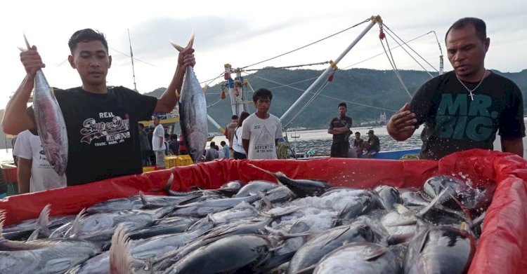 Sistem Resi Gudang Kian Diminati Nelayan