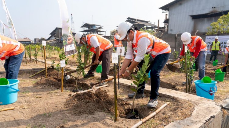 TPS Tanam 100 Pohon Semarakkan HUT Pelindo