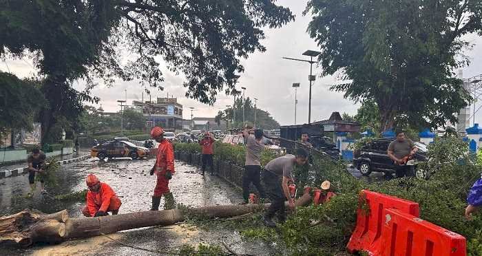 Hujan Deras Disertai Angin di Kota Kediri, Polisi dan BPBD Gercep  Evakuasi Pohon Tumbang di 4 Lokasi
