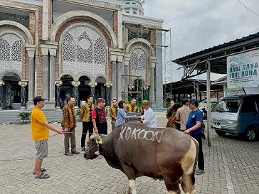 Kokoon Hotel Banyuwangi Salurkan Hewan Kurban