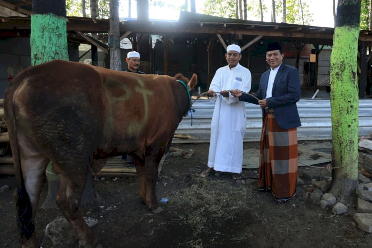 Pemkot Bagikan 13 Sapi dan 44 ekor Kambing