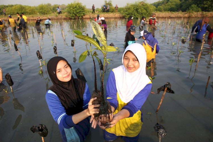 Wahana Visi Indonesia dan Pemkot Surabaya Sinergi Pelestarian dan Konservasi Mangrove