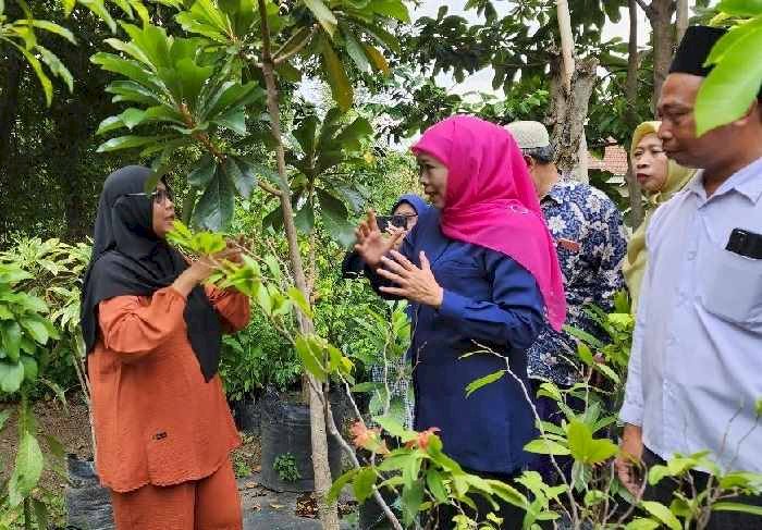 Sambangi Usaha Bibit Tanaman Buah di Nganjuk, Khofifah: Jadi Percontohan Pengembangan Kreativitas di Bidang Agrobisnis