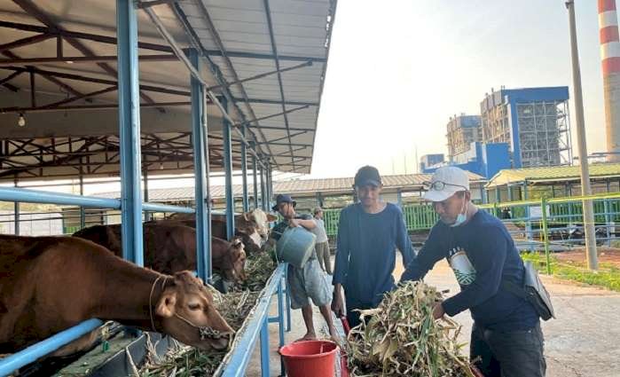 Komitmen Ciptakan Dampak Positif,  PLN NP Hadirkan Solusi Hijau