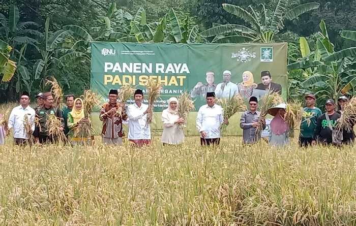 Panen Raya Padi Sehat di Kejayan,  Gubernur Jatim Terpilih, Apresiasi Tinggi PCNU Pasuruan