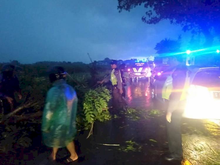 Forkopimka Krembung Bantu Atasi Korban Angin Kencang