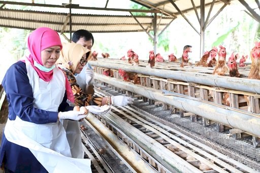 Jatim Agro, Jadikan Jawa Timur Lumbung Pangan Nasional