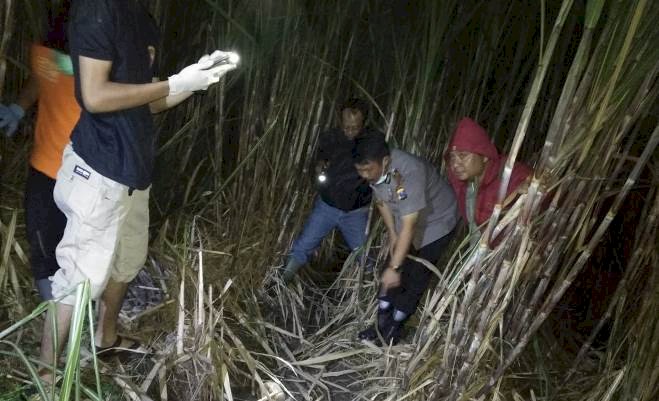 Tengkorak di Kebun Tebu Jadi Perhatian Khusus Kapolresta Sidoarjo