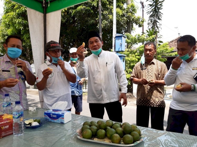 BHS Dukung Potensi Pertanian Jeruk