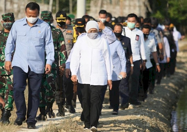 Sasar Pasar Ekspor, Gubernur Khofifah Dorong Peningkatan Produksi Ikan Kerapu Lamongan