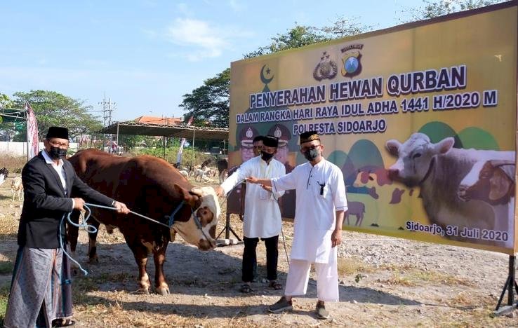 Kapolresta Sidoarjo Salurkan Hewan Kurban