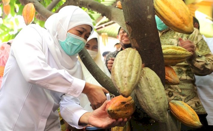 Dana di Bank Jatim dan Bank UMKM Melimpah, Gubernur  Khofifah Minta UMKM Agresif Ajukan Kredit