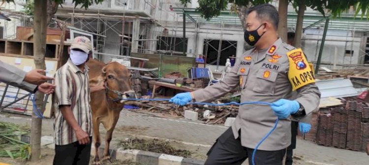 Curi Enam Sapi di Jombang, Tertangkap di Probolinggo