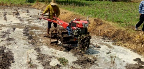 Semen Indonesia Perdayakan Masyarakat Melalui 8 Kluster