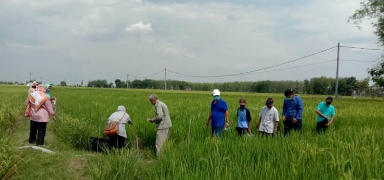 Program CSR Pertamina EP Asset 4 Cepu Field Bedampak Positif