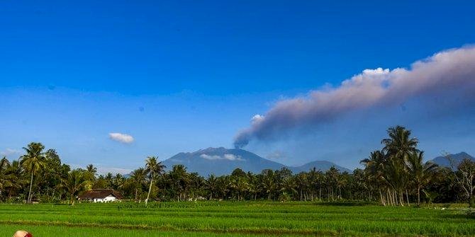 Pasca Erupsi Gunung Raung, 440 Hektare Area Pertanian di Banyuwangi Rusak