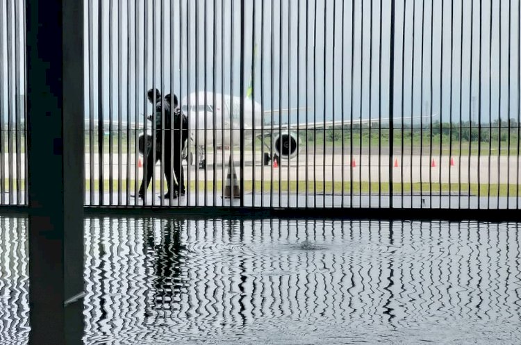 Bandara Banyuwangi Akhirnya Dibuka kembali