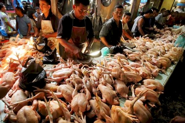 Jelang Ramadan, Harga Daging Ayam Naik