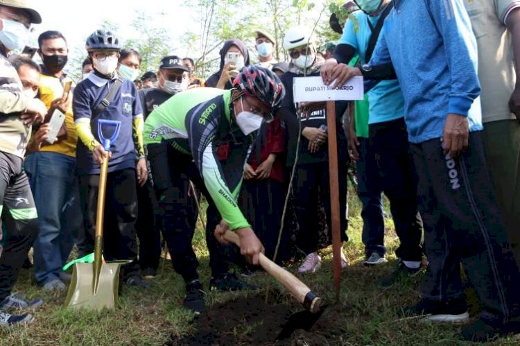 Pemkab Sidoarjo Hijaukan Kawasan Industri Jabon, Tanam 1000 Pohon Trembesi