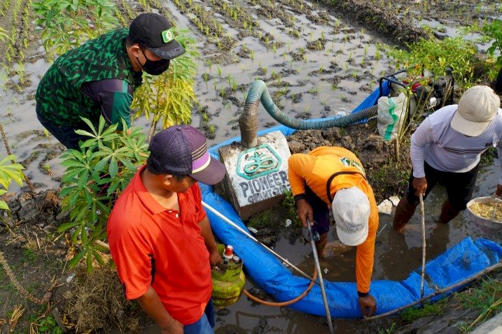 Bantu Petani, GPK Jombang Gropyokan Tikus