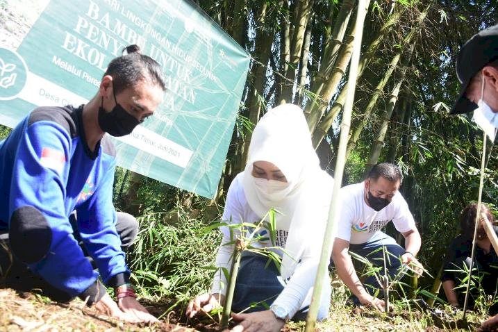 Canangkan Desa Claket Jadi Sentra Pembibitan Bambu