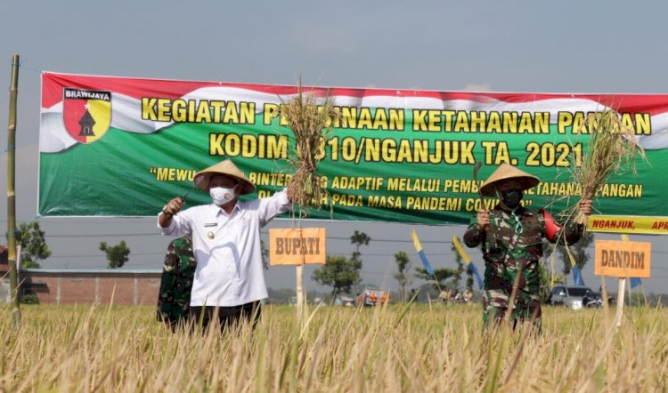 Perkenalkan Padi Sehat Sistem Demplot di Kabupaten Nganjuk