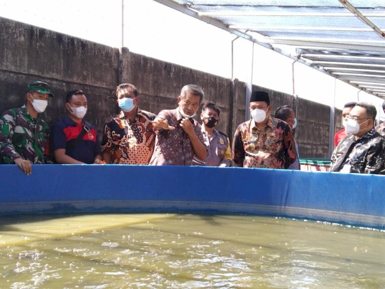 Warga Dilatih Budi Daya Lele di Kolam Terpal