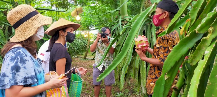 Hingga Mei 2021, PLN Melistriki 11.558 Pelanggan Sektor Agrikultur