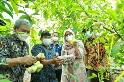 Ribuan Anak Muda Banyuwangi Daftar “Jagoan Tani”