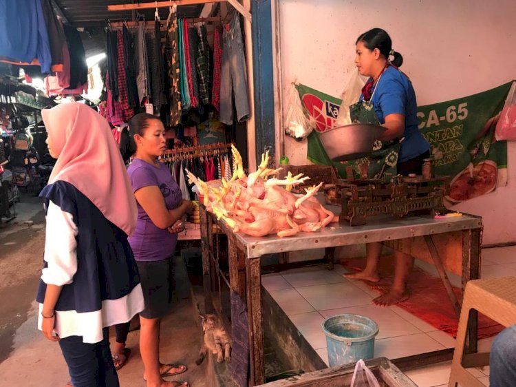 Dampak PPKM, Harga Ayam Potong di Jember Turun Drastis