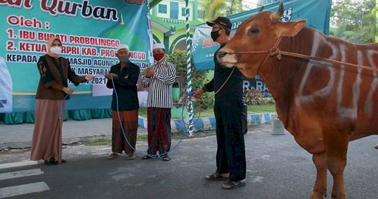 Bupati Tantri Serahkan Hewan Kurban ke Masjid Agung Ar-Raudhah