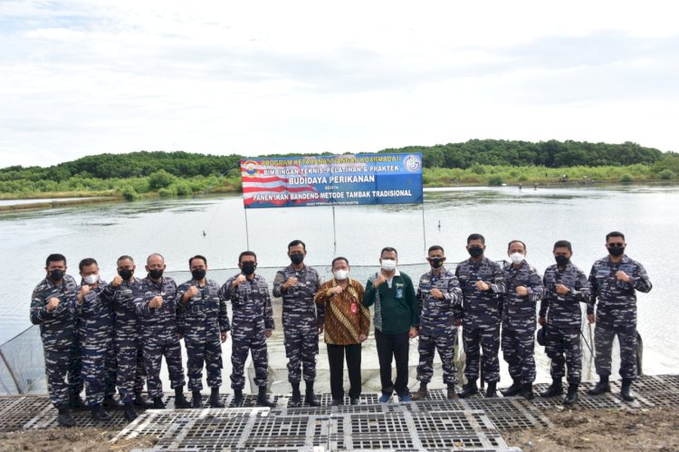 Hasil Ketahanan Pangan Mandiri, Koarmada II Panen Raya Bandeng