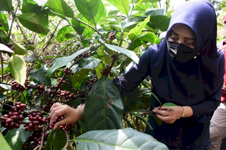 Terobos Hutan Jembul, Ikfina Lirik Potensi Coban Kabejan