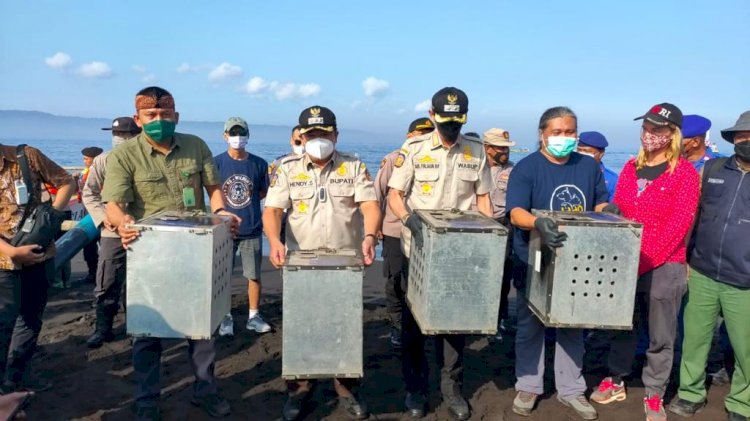 Pemkab Jember dan BKSDA, Lepas Puluhan Satwa Liar ke Nusa Barong